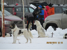 ���� 408.jpg