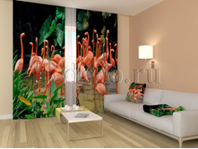 01179 ��������.jpg