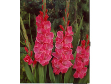 ��������� ��������  132�.jpg