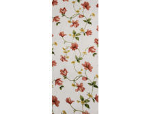 ����� ����.jpg