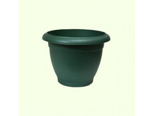 ����� (������) ����� , ������� ��� �������.jpg