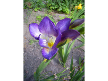 ������  �������� ������� 10�� 74,4�.jpg