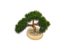 ��� 20/3�/30 - 1507