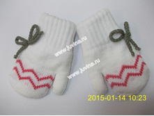 DSCN9532 (����������).jpg