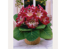 ��������� ��������� ������� 3�� 198�.jpg