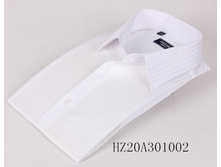 HZ20A301002==550���.