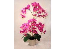 �� 55*2/33 - 1100