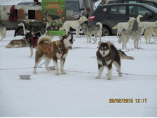 ���� 419.jpg