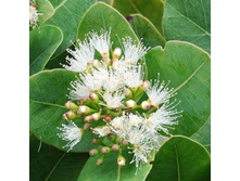 ��� ������� �����.jpg