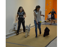 1-DSC_0672.JPG