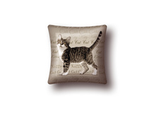 ������ �����.jpg