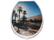 ����� 295�.jpg