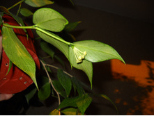DSCN5358.jpg