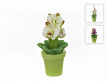 6160073.jpg ���12  308�