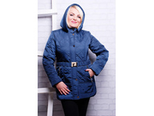 ������ DSH �01.jpg