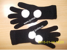 DSCN9767 (����������).jpg