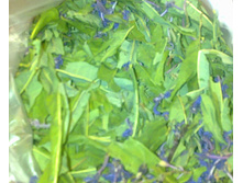 ����-���: ��ۣ��� � ����������.jpg