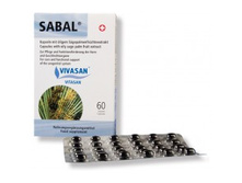 ������ (60 ������)- 1313 ���