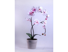 �� 47*2/33 - 330