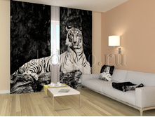 01110 �����-����� ����.jpg