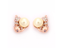 ������  IS0262G Ice&High ���. IS0262G-750 ���