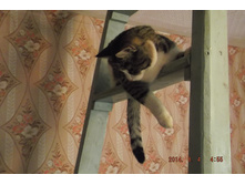 ��� 2014 004.jpg