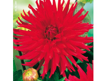 �������� ��������� 90�