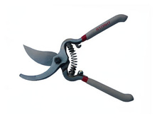 ������� "������"  204�