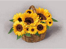 ���������� � ������� (22�17), (48�35).jpg