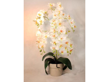 �� 55*2/33 - 1100