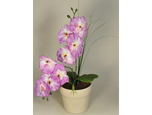 �� 34*2/33 - 325