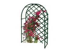 ���� �� �������� ��� ������