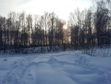 20150207_150252.jpg