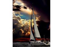 ���� ����� ������ 38*48 Ag5819 - 1176 ���.