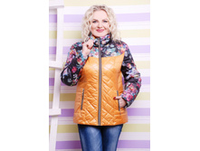 ������ DSH �2 ������.jpg