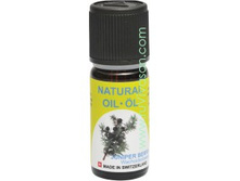 ������� ����� ������������ 10 �� 1013 ���