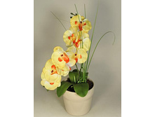 �� 34*2/33 - 325