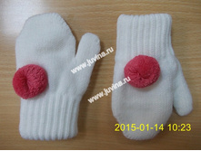 DSCN9762 (����������).jpg