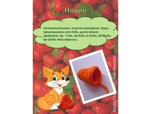 ������� �� �����������4.jpg