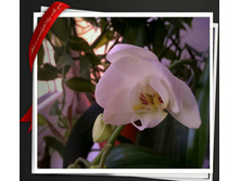 �������2015