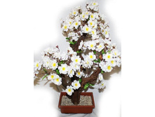 ��60/3�/46� - 2200