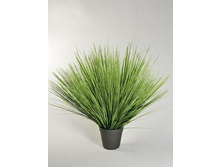 ��45/169 - 1235 - ������ 25%