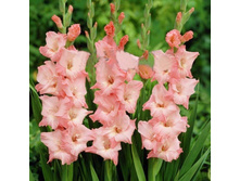 ��������� ��� ������ 102�.jpg