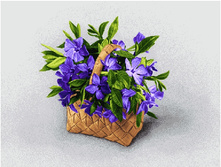 �������� (48�35).jpg