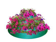 ������� 4-� �������-980�