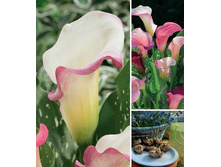 ����� ������� 288� 3��.jpg