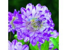 �������� �� ��� ��.png