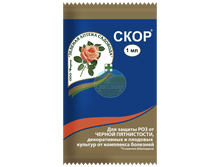 ���� (������ 1 ��.png