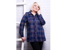 ����� CI ����.jpg