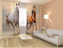 095 ������.jpg